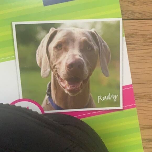 NWT TOP PAW OUTDOOR NON SKID‎ RUBBER RAIN/SNOW BOOTS REFLECTIVE - Picture 5 of 7